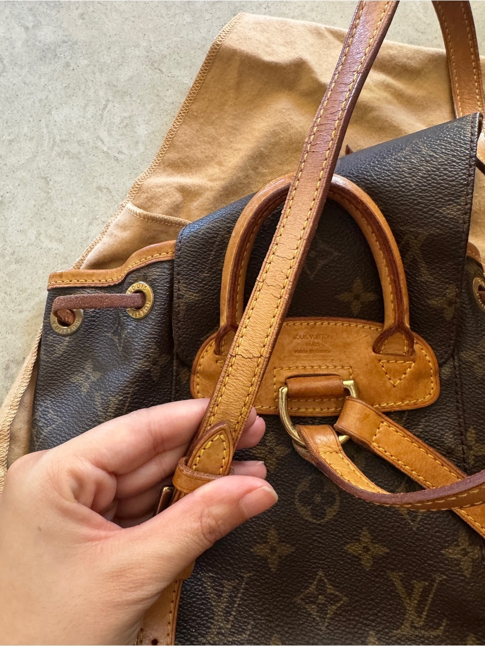 LV Mono Montsouris PM Backpack - Picture 12 of 16